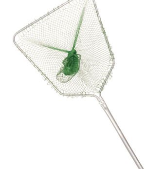 MESH COLLAPSIBLE FLOATING LIVE BAIT/KEEPER NET – Fishing R Us